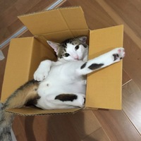 カヲル