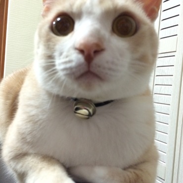 の写真