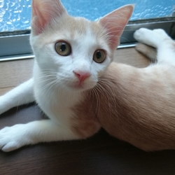 もう直ぐで３ヶ月