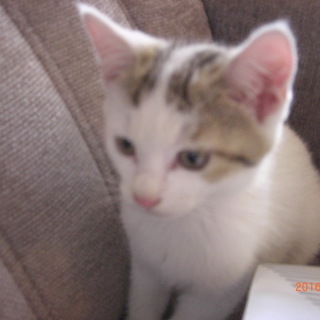 コイケ君とタッキー君、３ヶ月