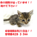 お迎えありがとうございます！感謝♪