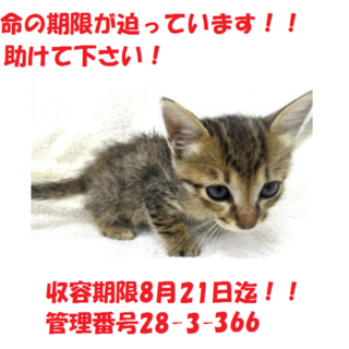 お迎えありがとうございます！感謝♪