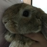  さん