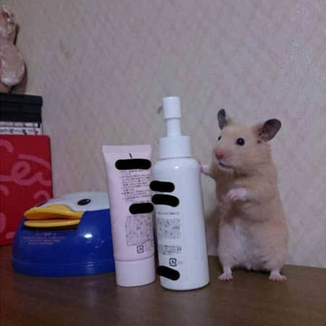 公大好きのカバー写真