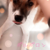今日のベストショット✨