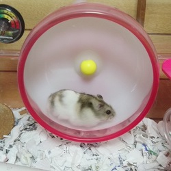 クゥちゃんと仲良くなれそう