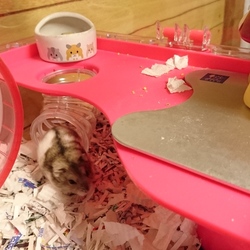 「クゥちゃんと仲良くなれそう」サムネイル2