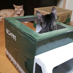 「体重訂正。」サムネイル2