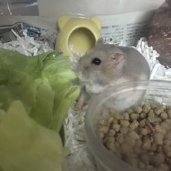 夏休みで‥