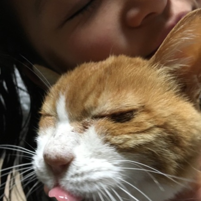 こつぶまなかのカバー写真