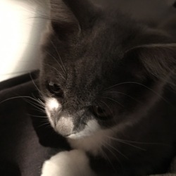 本日の乙姫様と浦島様