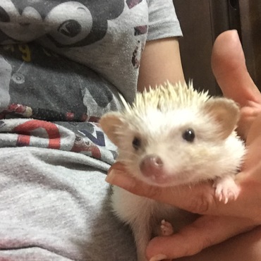 ごきげん❗️