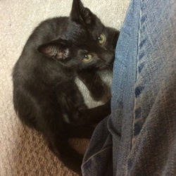 カメラ目線と我が道を行く子