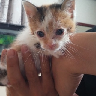 お願いします!!