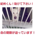 とても素敵な家族のもとへ。ありがとうございます!