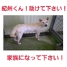 とても素敵な家族のもとへ。ありがとうございます! サムネイル2