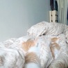 かわいいめすの子猫ちゃんの里親さま募集 サムネイル3