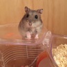 きょとん