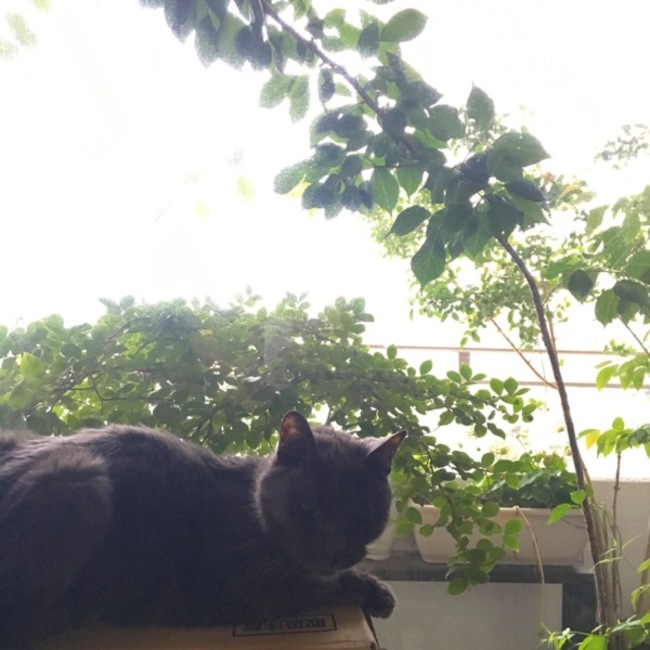 yukayamaのカバー写真