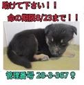 家族ができました！