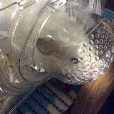 の写真