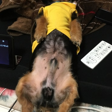 びよーん