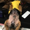 びよーん