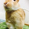 なほ322