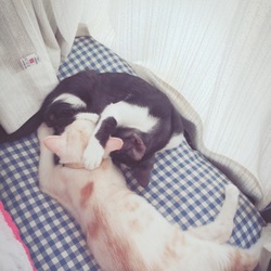 元気いっぱい笑