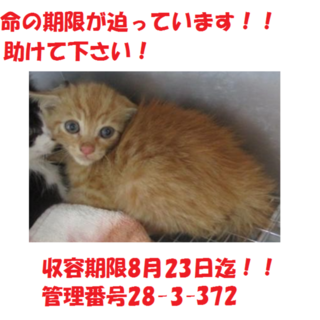 お迎えありがとうございます！感謝♪