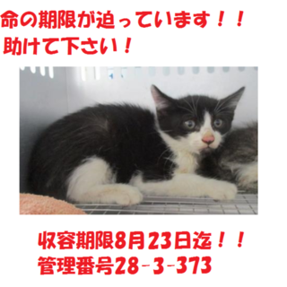 お迎え有り難うございます(#^.^#)