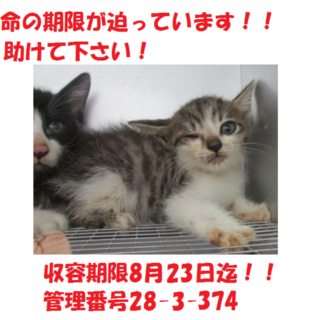 お迎え有り難うございます(#^.^#)