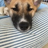 の写真