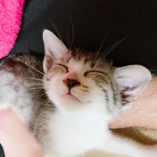 フレンドリーな女子