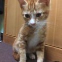 こめどころ様お返事お願いします