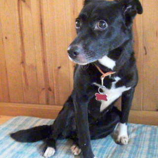 くりくりお目々が可愛い女の子モナです