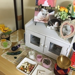 あなたに会えて本当に良かった