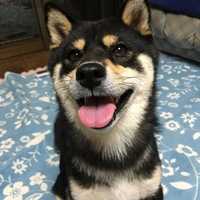 ハナ