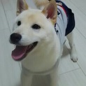 期間限定里親さん募集してます！