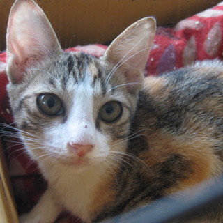 里親決定！！家族ができました(*´▽｀*)