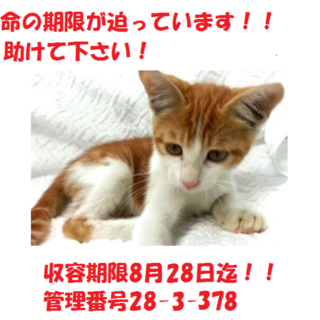 お迎え有り難うございます(#^.^#)