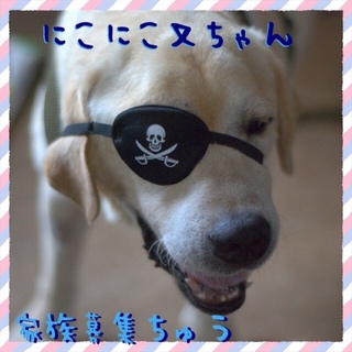 ★決定！★ニコニコ又三郎