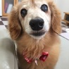 すずみん