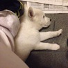 こんなに小さかったのに、、