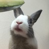の写真
