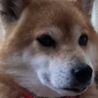 プラムちゃん