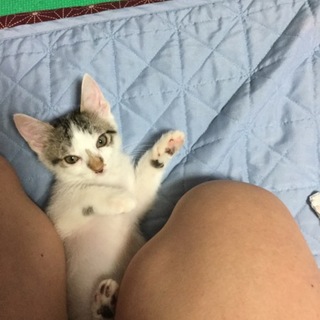 ありがとうございました