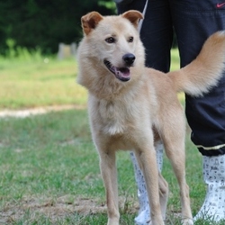 今日のカンジ君