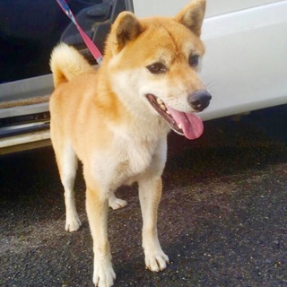 ☆素敵な家族ができました☆