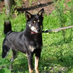 今日のノアちゃん